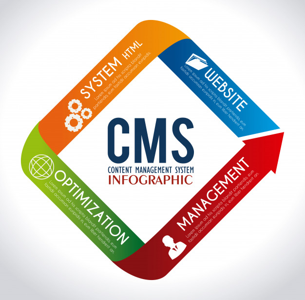 CMS Website Development Services India