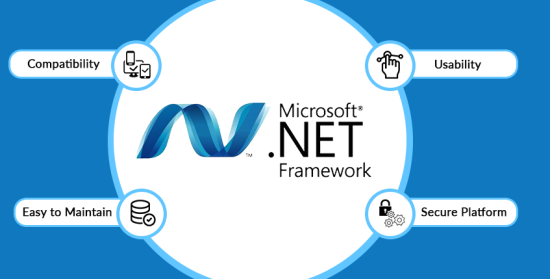 ASP.NET Website Development Services India