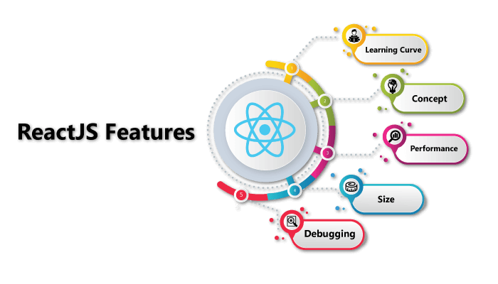 ReactJS Web Development Services India