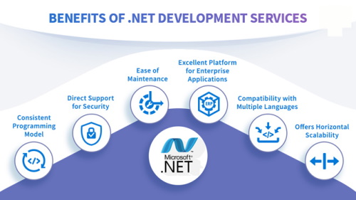 Custom ASP.NET Web Development Services-India