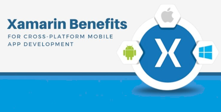 Xamarin Mobile App Development Services-India