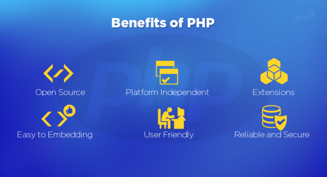PHP Web Development Services in India