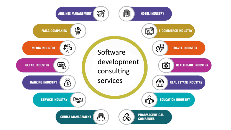 Software Consulting Services in India